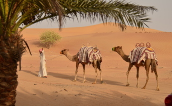 Trekking a Camello en Dubai
