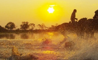 Safari a caballo en África
